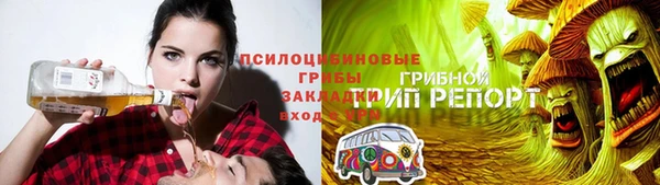 a pvp Инта