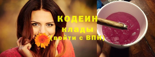 мяу мяу мука Инсар