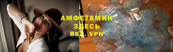 a pvp Инта
