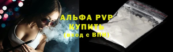 мяу мяу мука Инсар