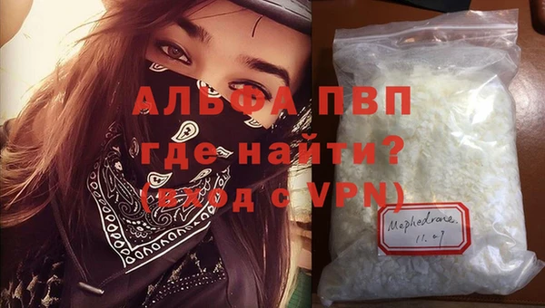 a pvp Инта