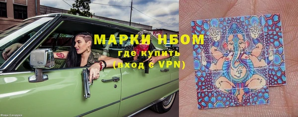 мяу мяу мука Инсар