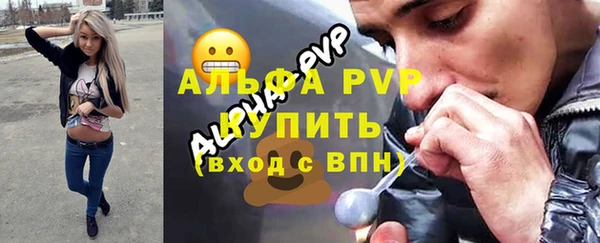 ешки Иннополис