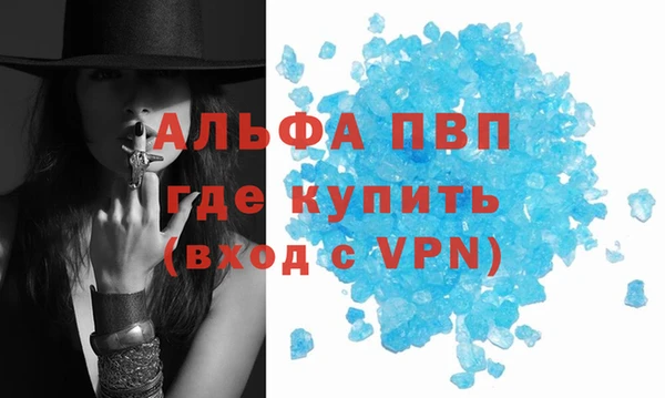 a pvp Инта