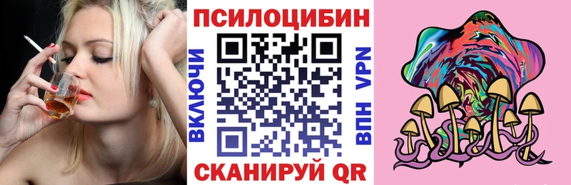 Псилоцибиновые грибы Cubensis  Купить  Белокуриха 