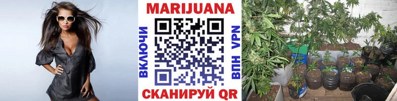 Купить где  Белокуриха  Бошки марихуана конопля 